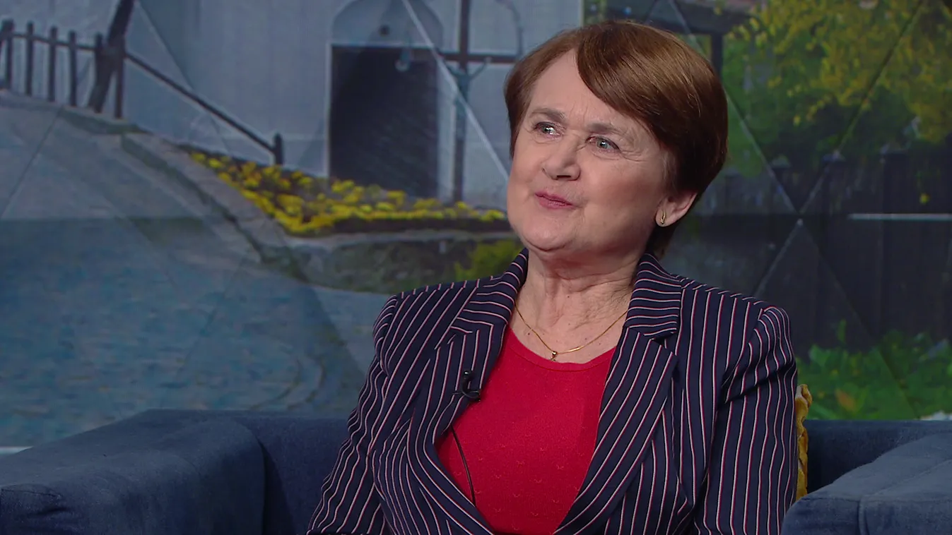 Mozaik - 27 éves a Bölcső Alapítvány