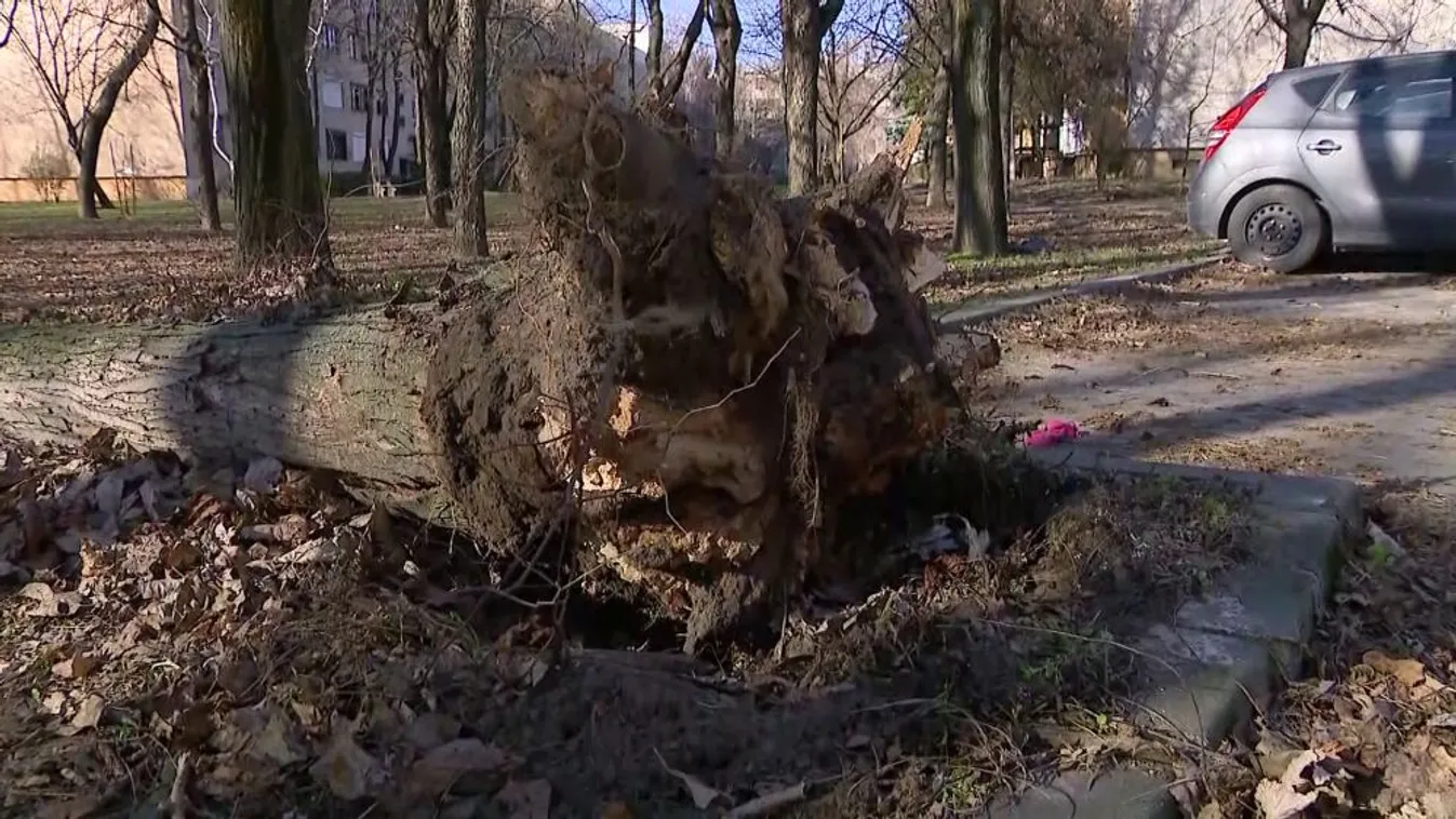 Radar - Országos szélrekord