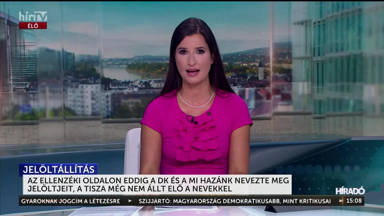 AZ ELLENZÉKI OLDALON EDDIG A DK ÉS A MI HAZÁNK NEVEZTE MEG JELÖLTJEIT, A TISZA MÉG NEM ÁLLT ELŐ A NEVEKKEL