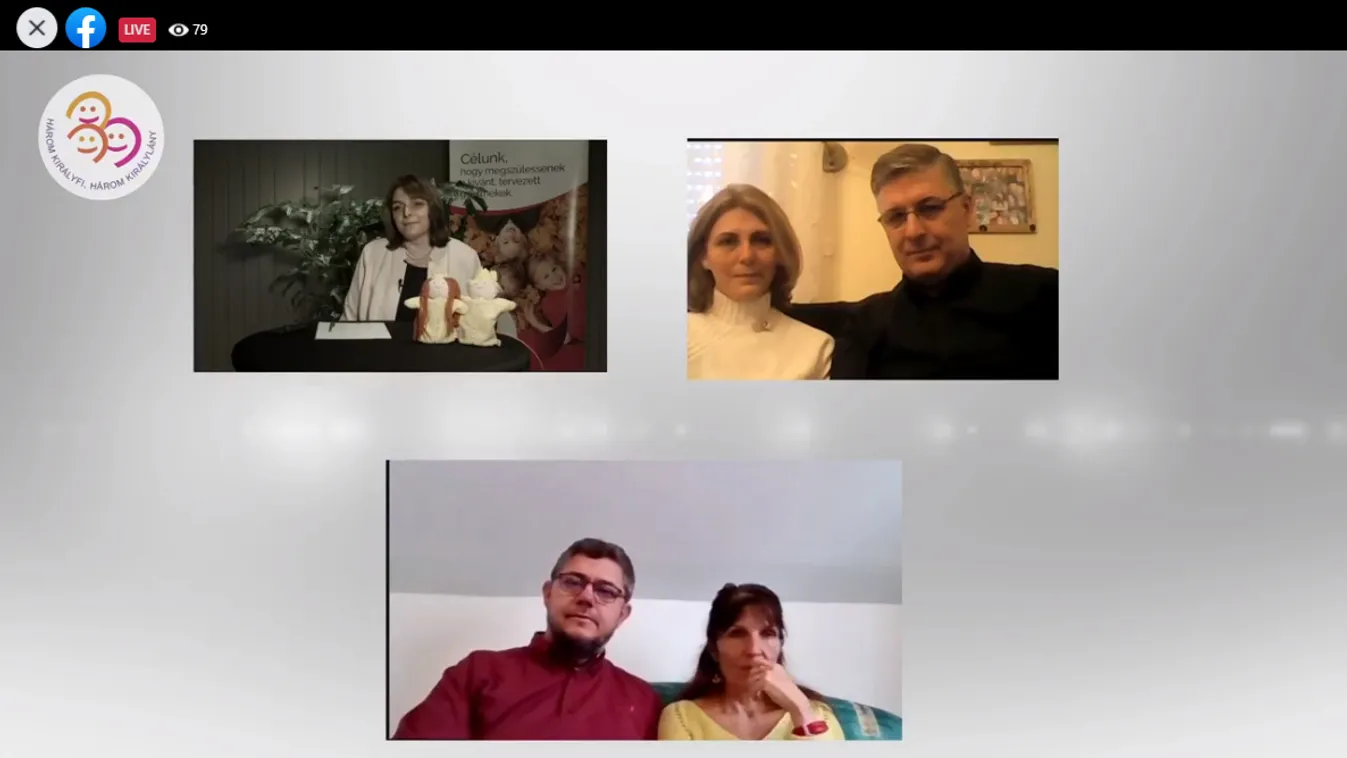 Három Királyfi, Három Királylány: A család közös ügy