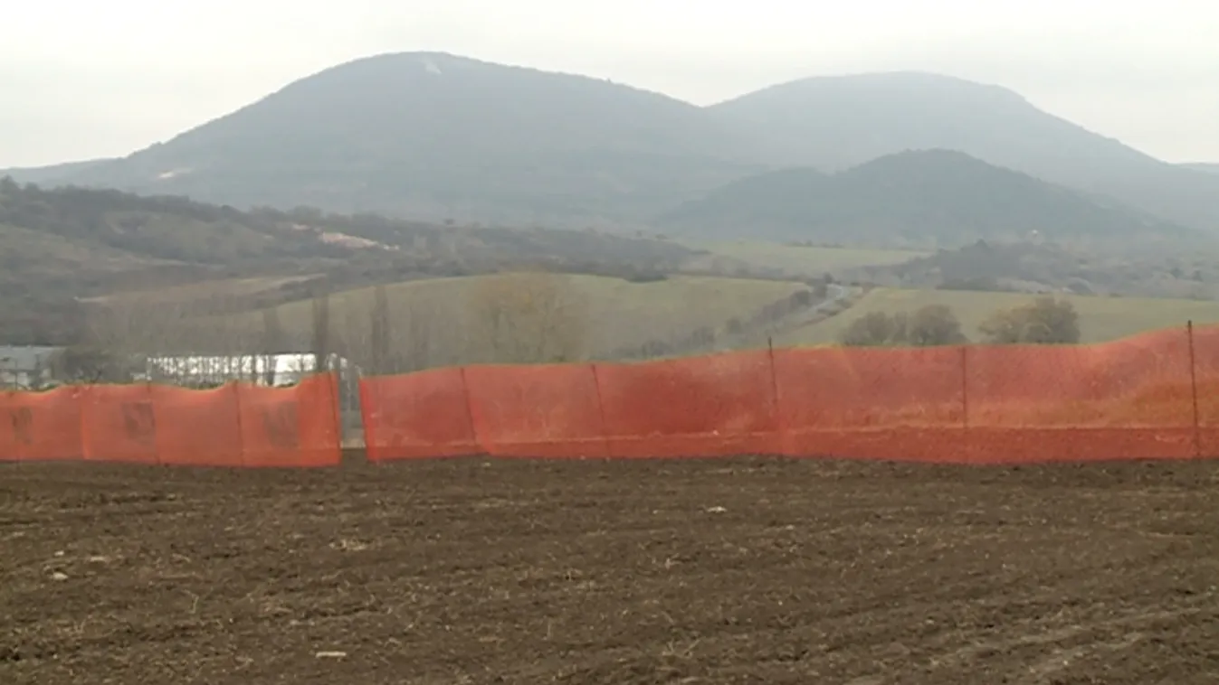 Nem tudtak megfelelően növekedni