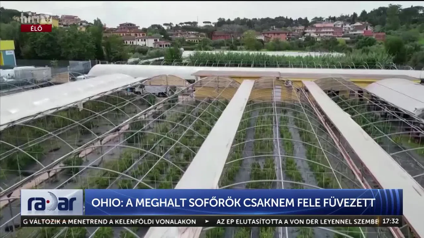 Radar – Ohio: a meghalt sofőrök csaknem fele füvezett