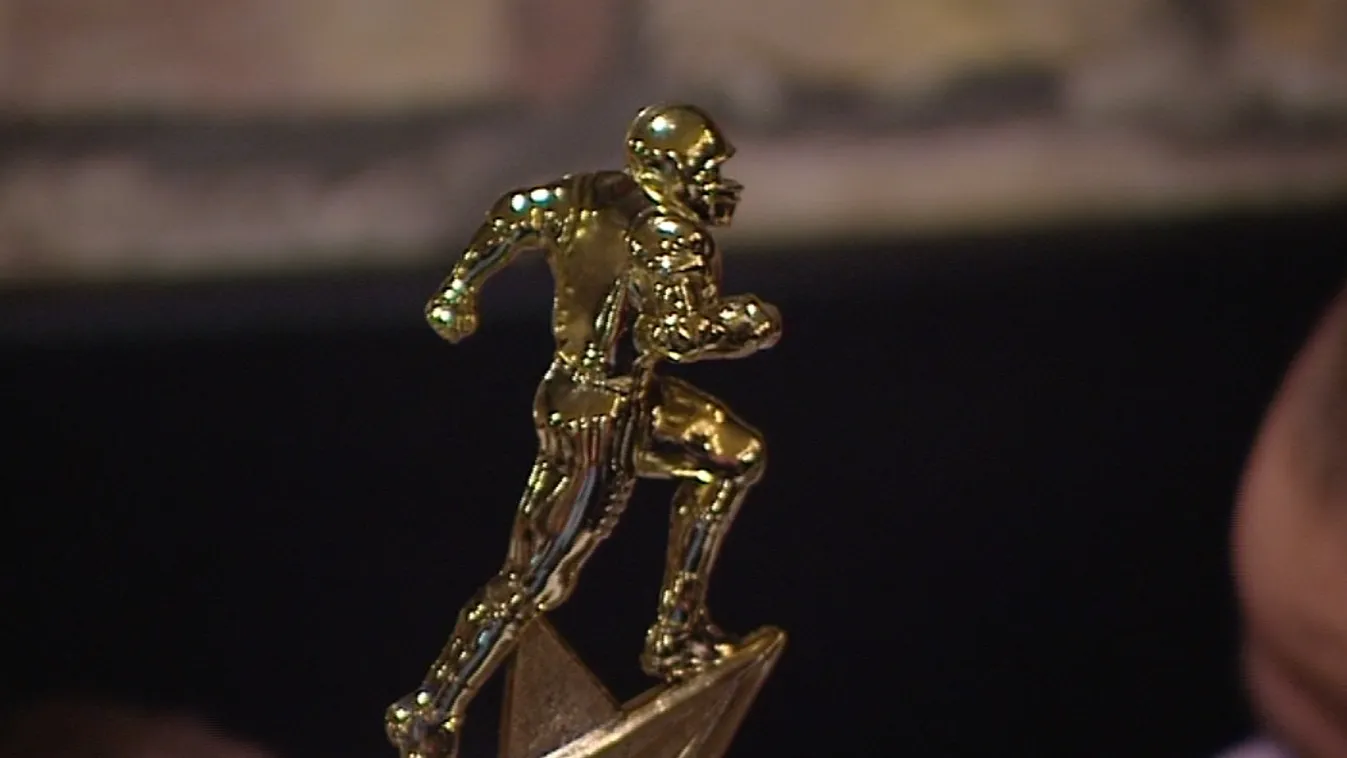 Az amerikai futball idei legjobbjait díjazták