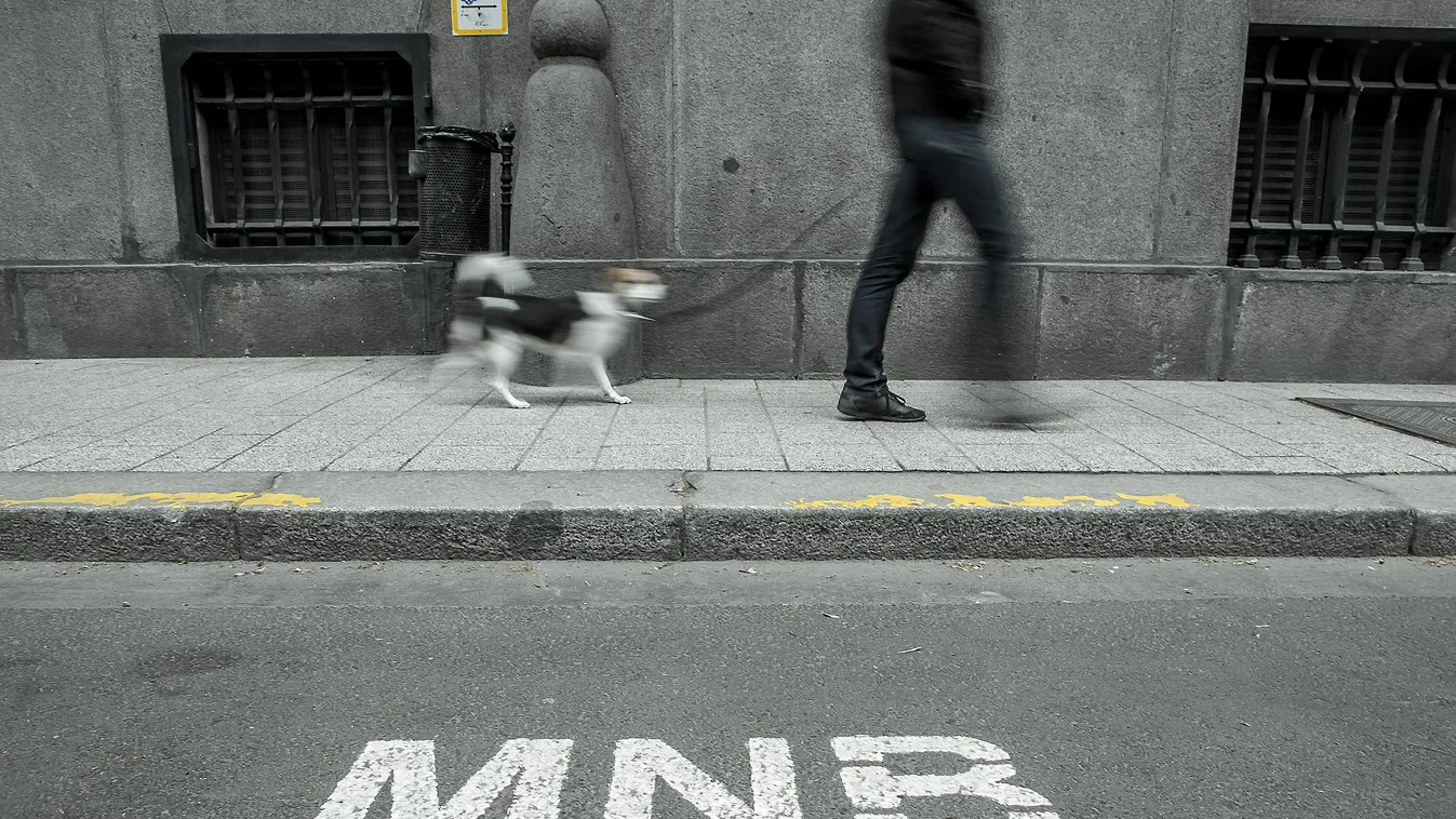 MNB-s bírság Gyurcsány egyik cégének