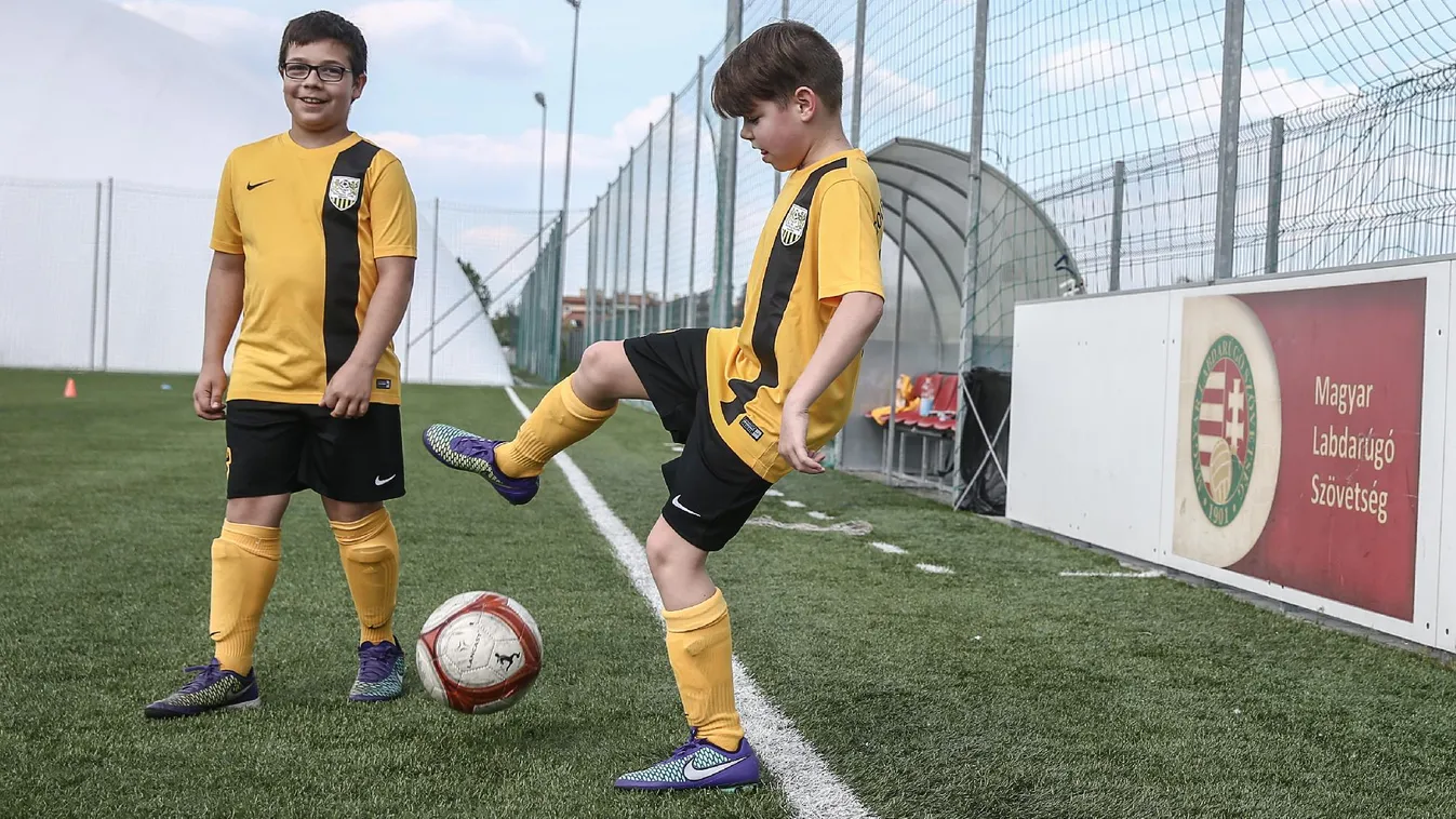 Tuja vagy hamisciprus