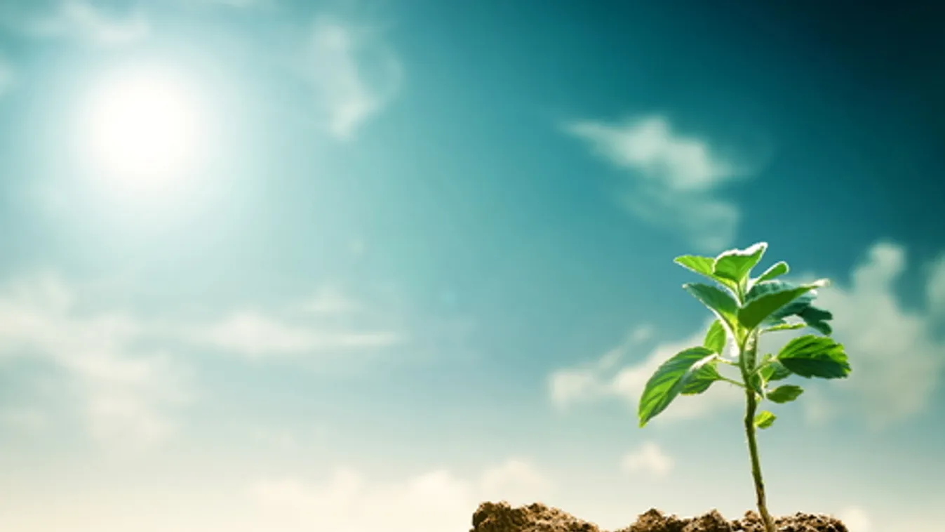 Klímavészhelyzetről döntött az Európai Parlament