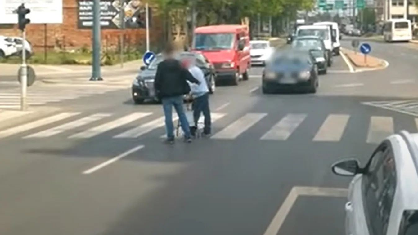 Esélye nem volt átérni! Kipattant, megállította a forgalmat és átkísérte