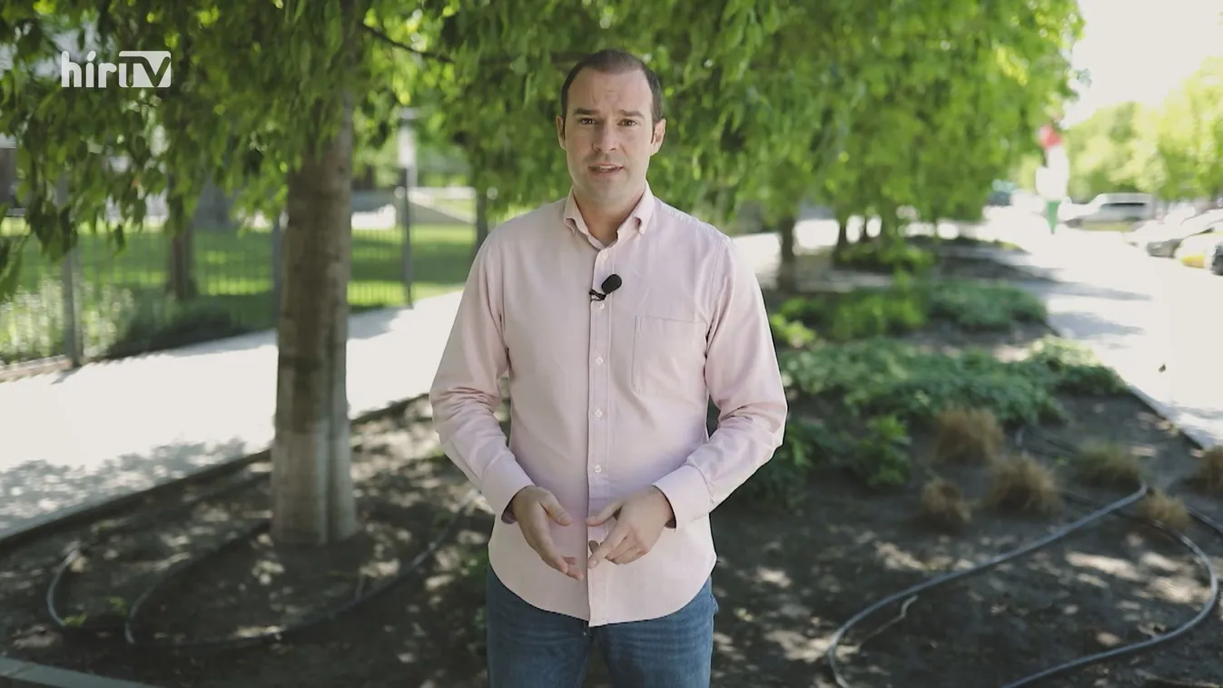 Hollik István: Dobrev Klára a külföldi gyógyszergyártó multikat képviseli