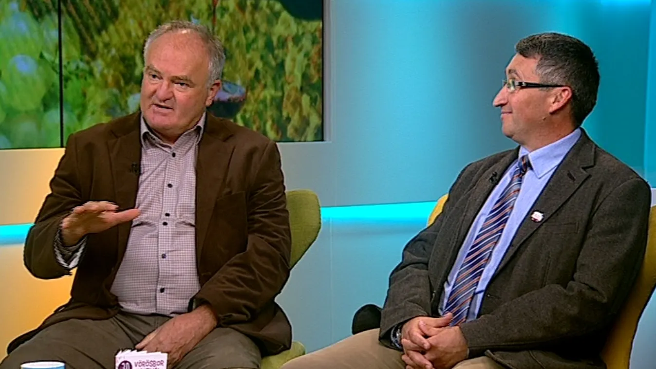 Harmincéves a villányi szüreti fesztivál