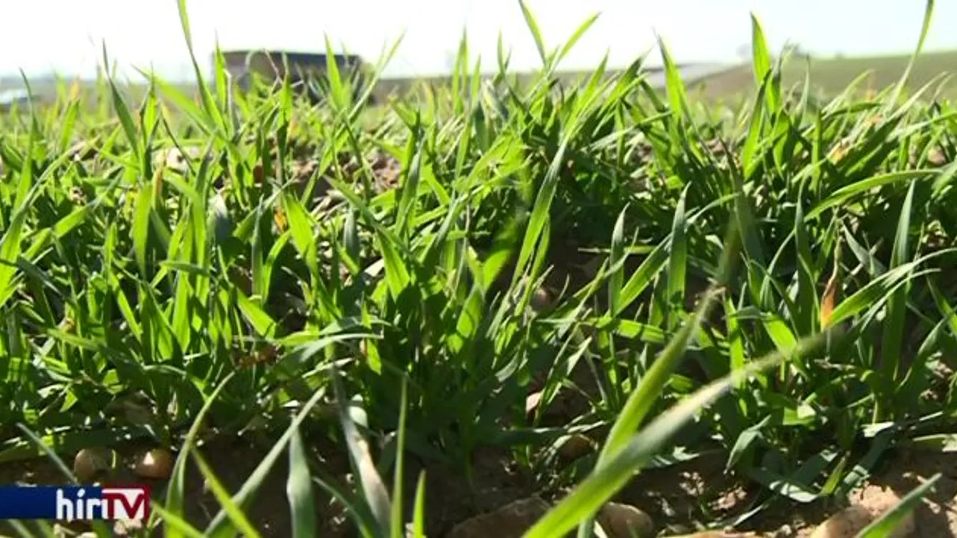 Kénytelenek beperelni az államot