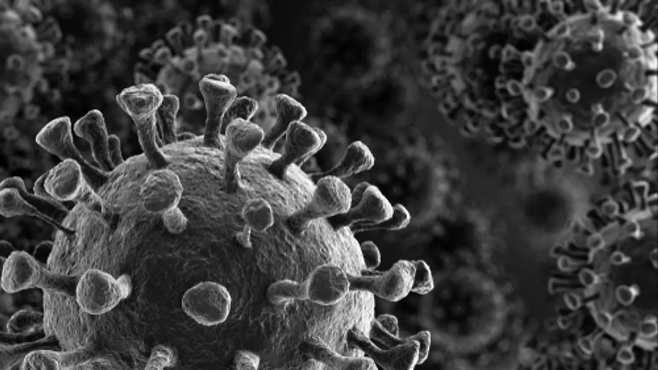 A fertőzöttek száma 158,6 millió, a halálos áldozatoké csaknem 3,3 millió