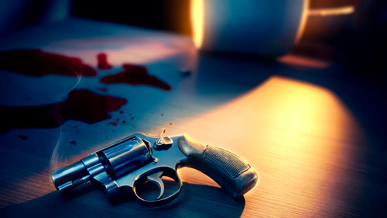 Kivégezte családját egy 14 éves fiú