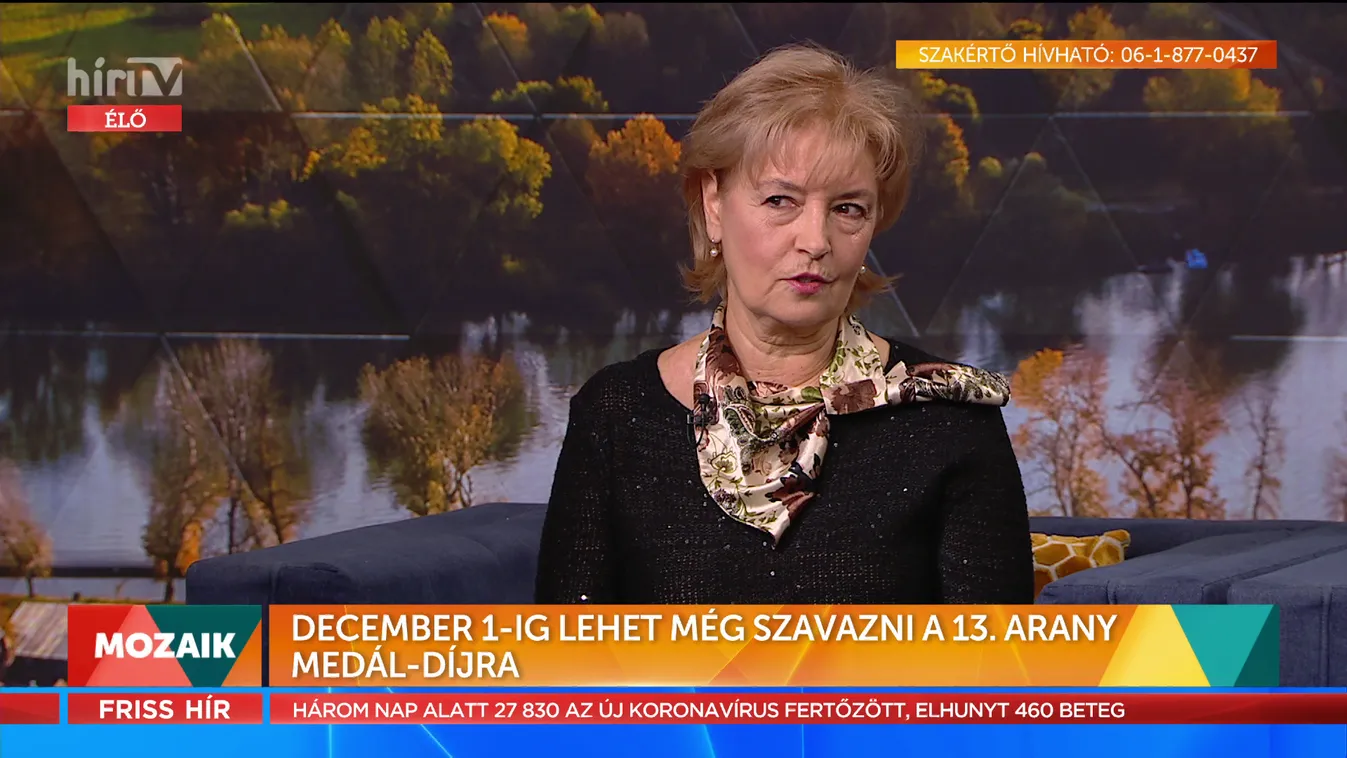 Mozaik: December 1-ig lehet még szavazni a 13. Arany Medál-díjra
