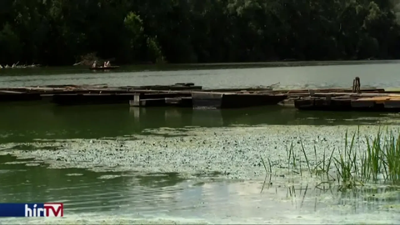 A Holt-Tiszában fürdene? Gondolja meg!
