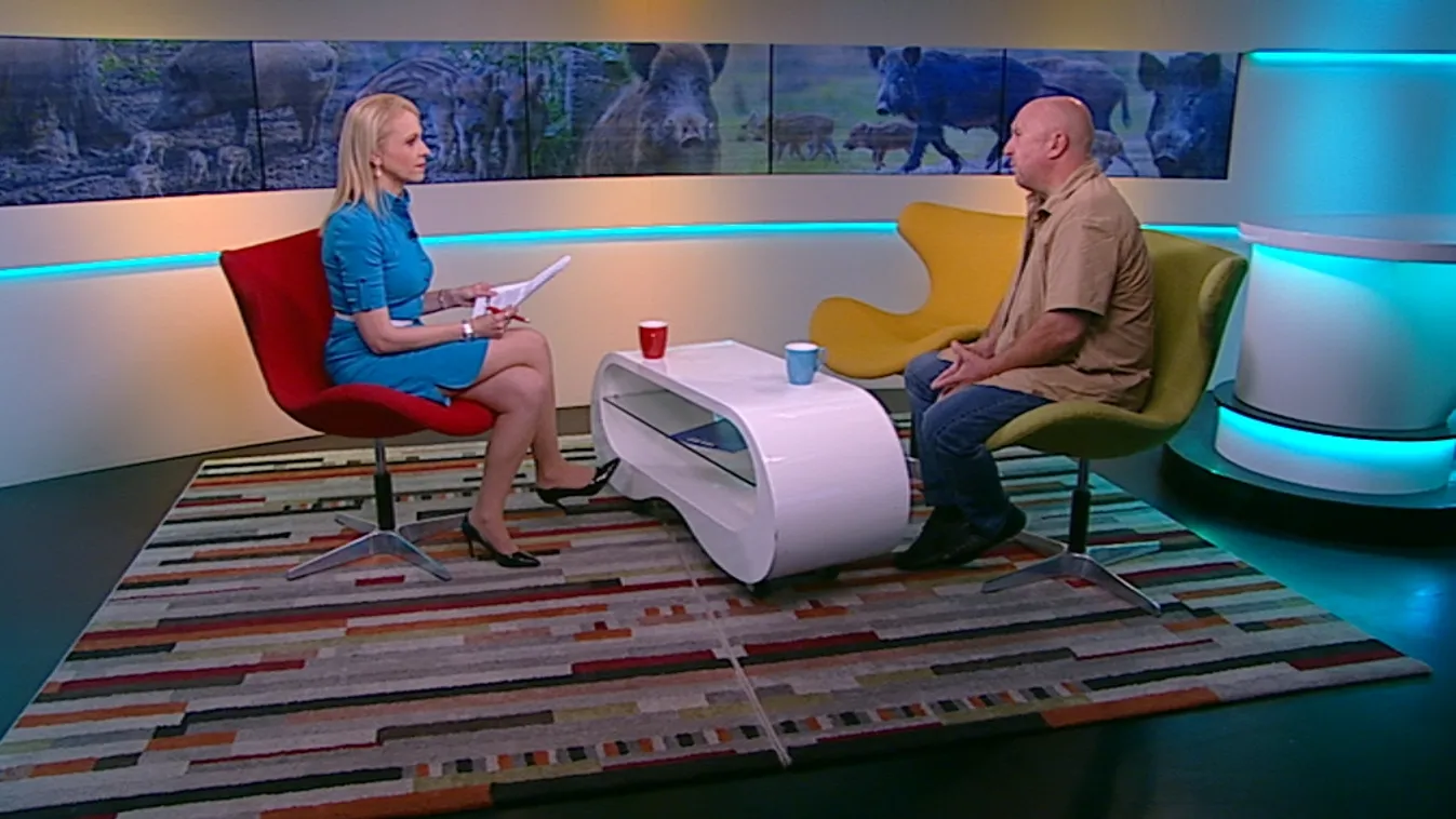 Urbanizálódó vadak