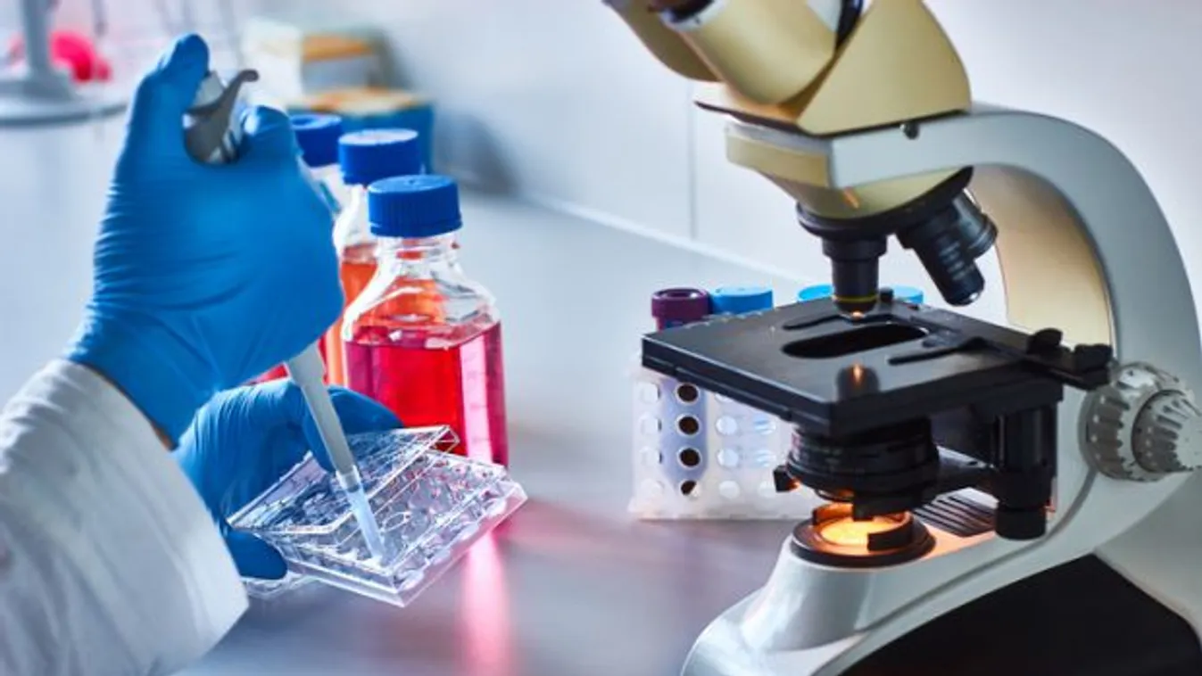 Hatalmas változást hozhat ez a felfedezés a rák gyógyításában