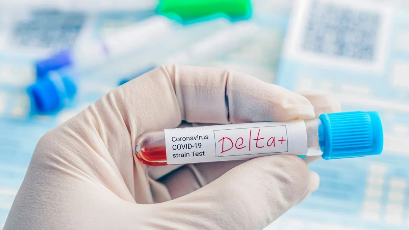 5 millió 740 ezer a beoltott, 521 az új fertőzött, nincs elhunyt