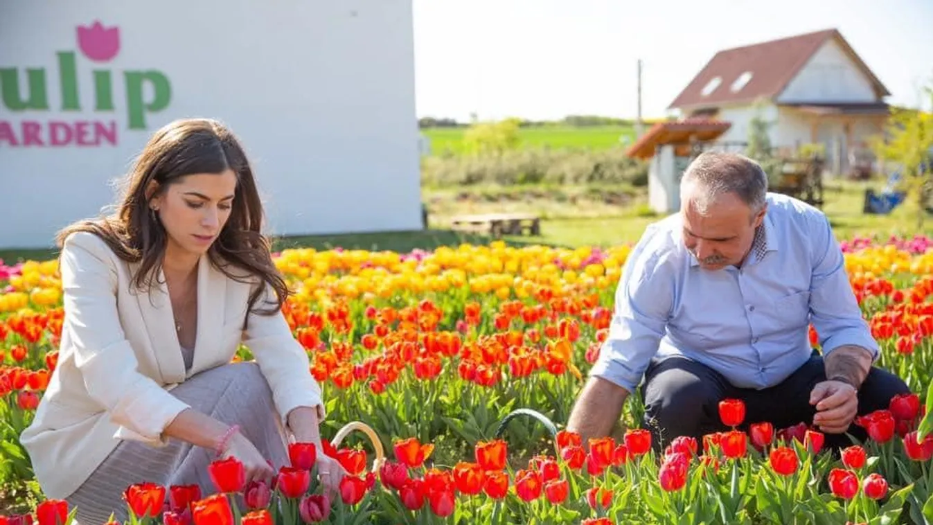 A kormány csomagja komolyan érinti a kertészeti ágazatban dolgozókat is