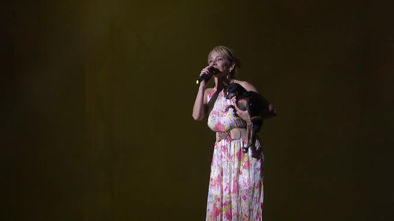 Radar - Jótékonysági kutyashow az Operettszínházban