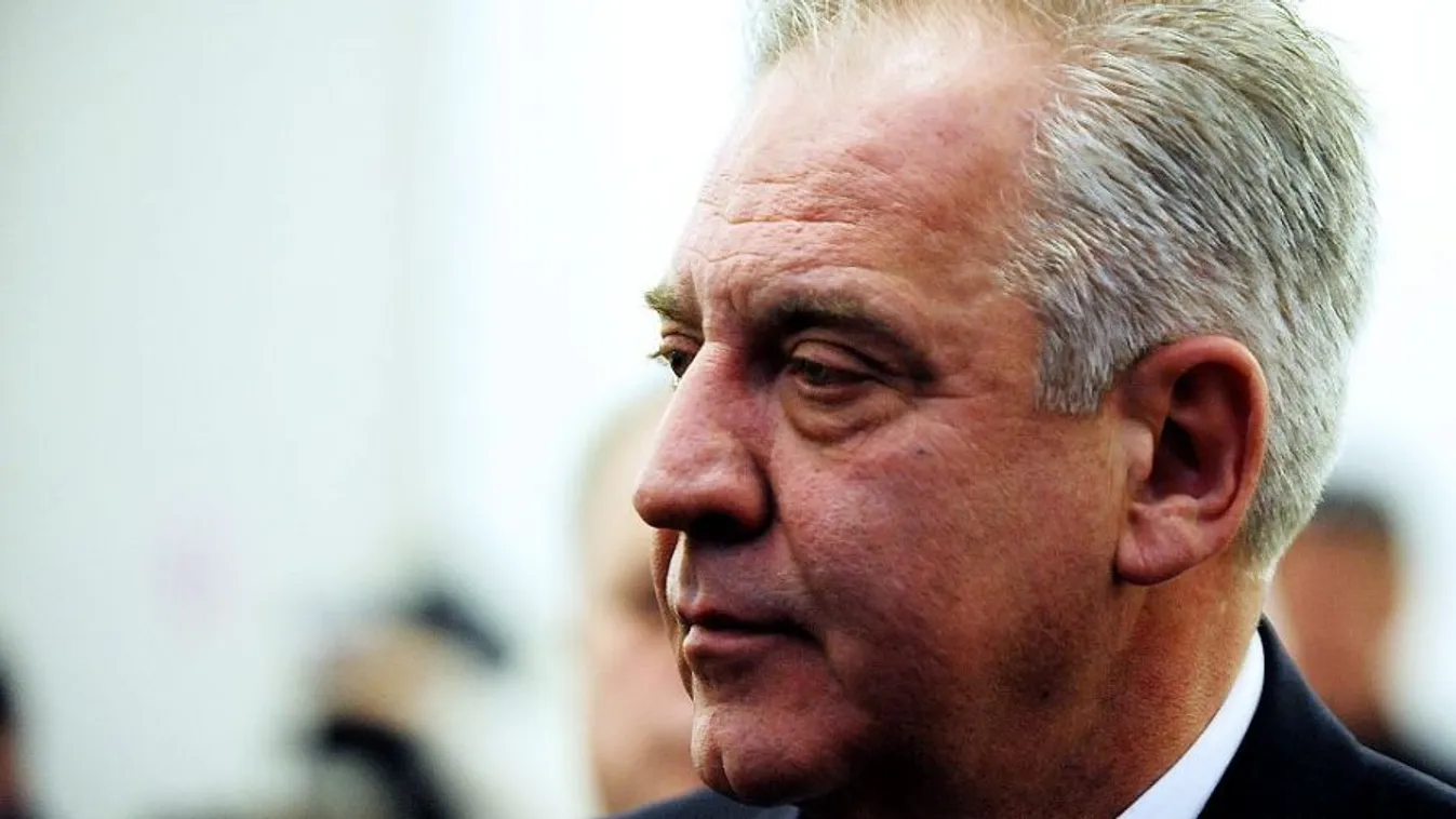 Szabadlábra helyezhetik Ivo Sanadert