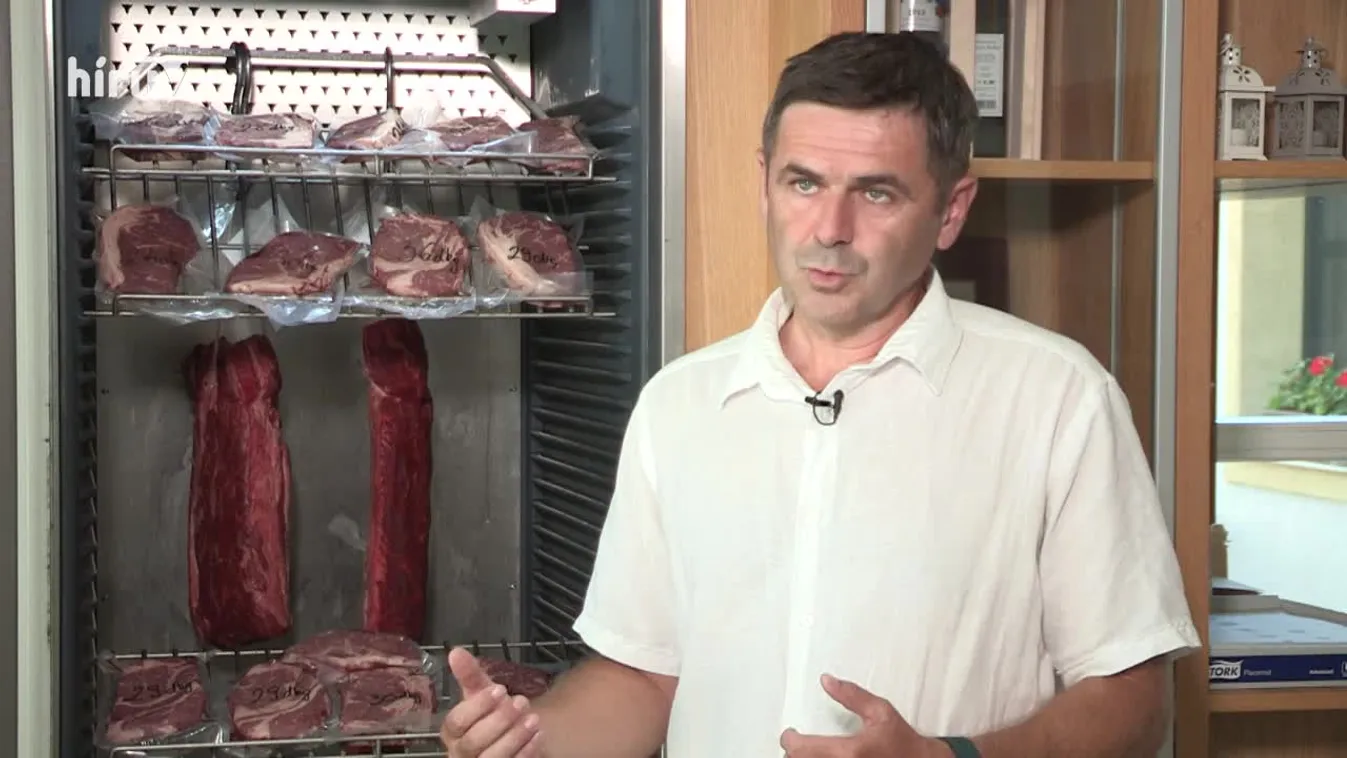 Soroló: Kis testű, szarvtalan, jámbor jószág