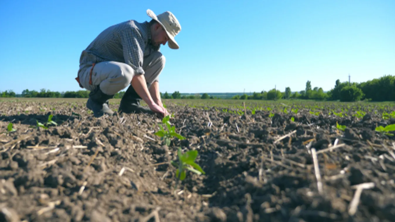 Idénymunka kereső portállal segíti a mezőgazdasági munkavállalást az agrártárca
