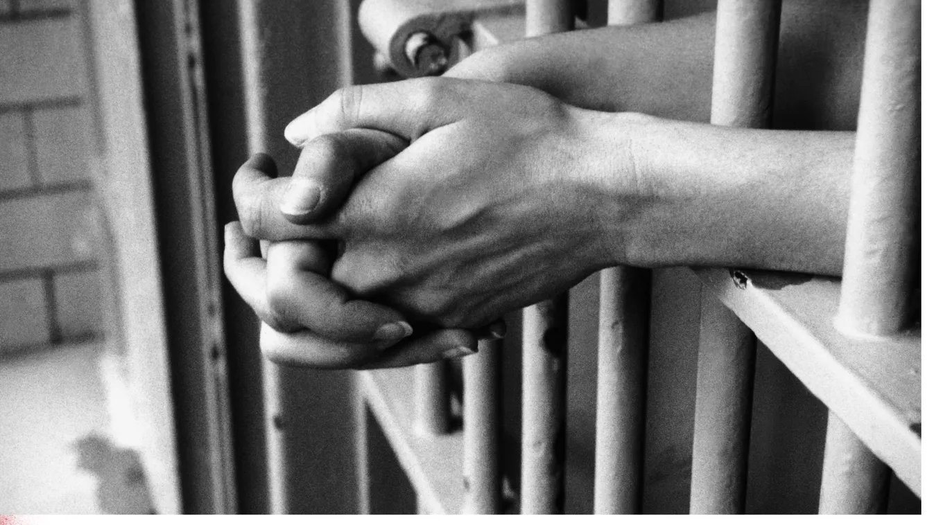 Svéd miniszter: külföldön kellene börtöncellákat bérelni az elítélt bűnözők elhelyezésére