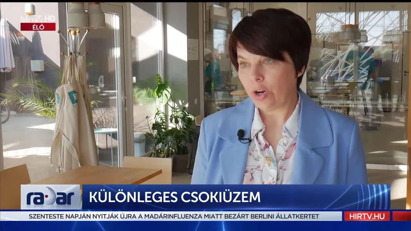 Radar - Különleges csokiüzem