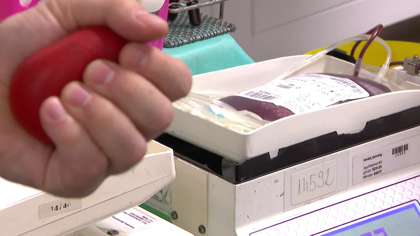 Radar - Véradás a HírTV-ben