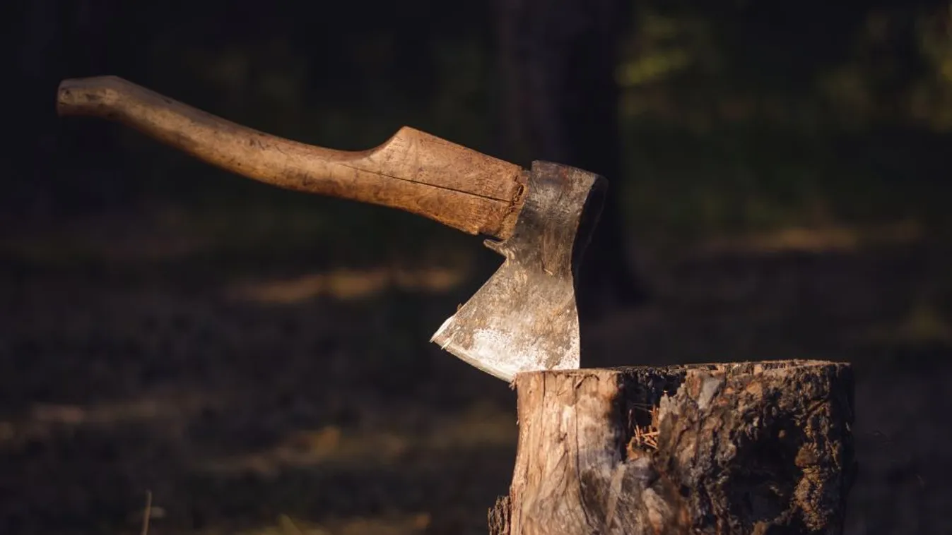 Súlyosításért fellebbez az ügyészség a baltával rendőrökre támadó férfi ügyében