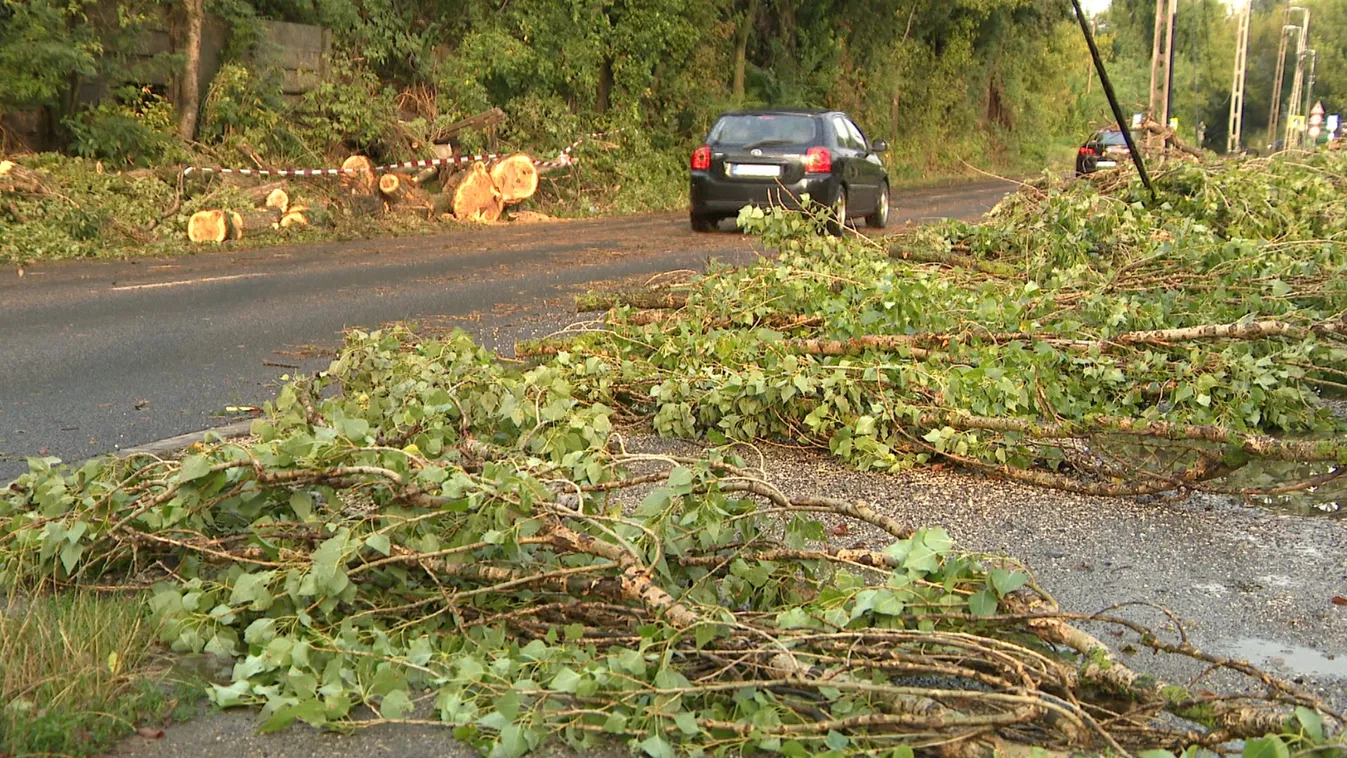 Sok riasztást kaptak a tűzoltók és akadozik a vonatközlekedés is