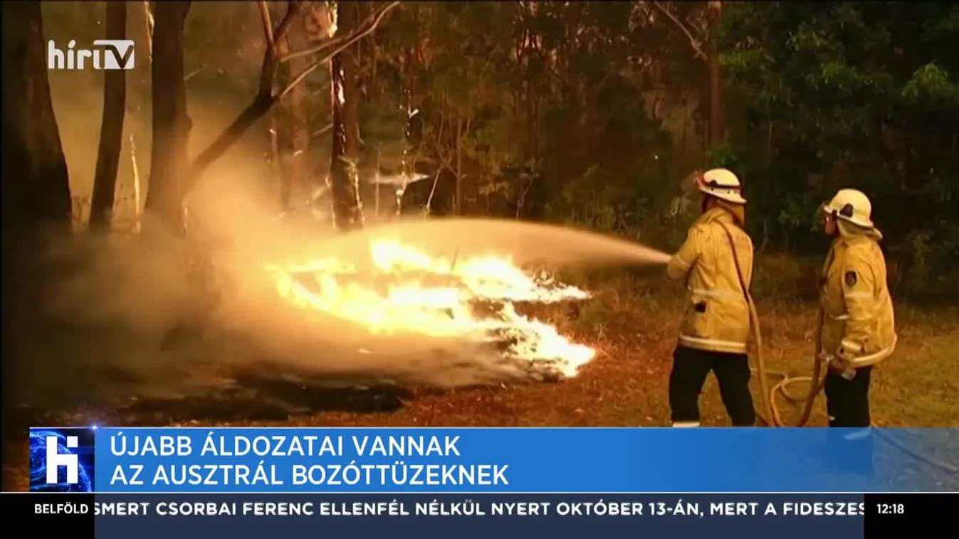 Újabb áldozatai vannak az ausztrál bozóttüzeknek