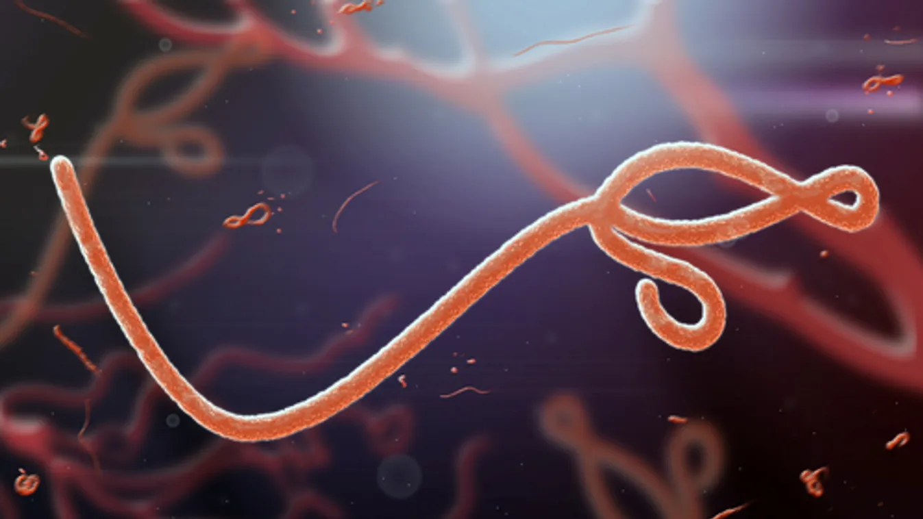 Újabb ebolás megbetegedést észleltek Kongó keleti részén