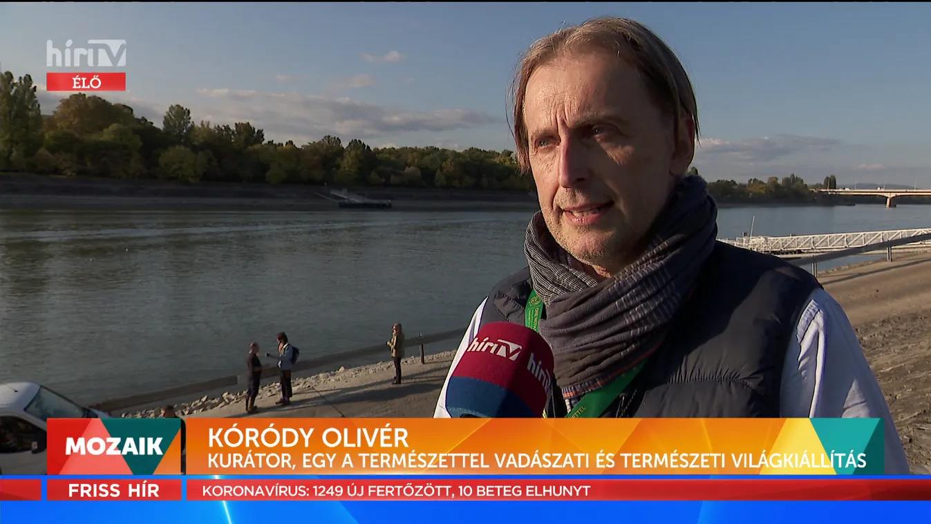 Mozaik: A kiállítás tovább él