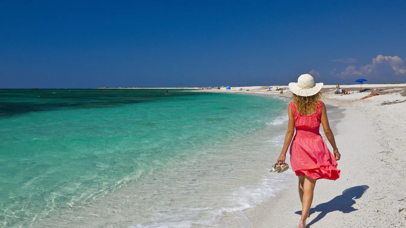 Homoklopásért 3000 eurós bütetést is kaphatunk