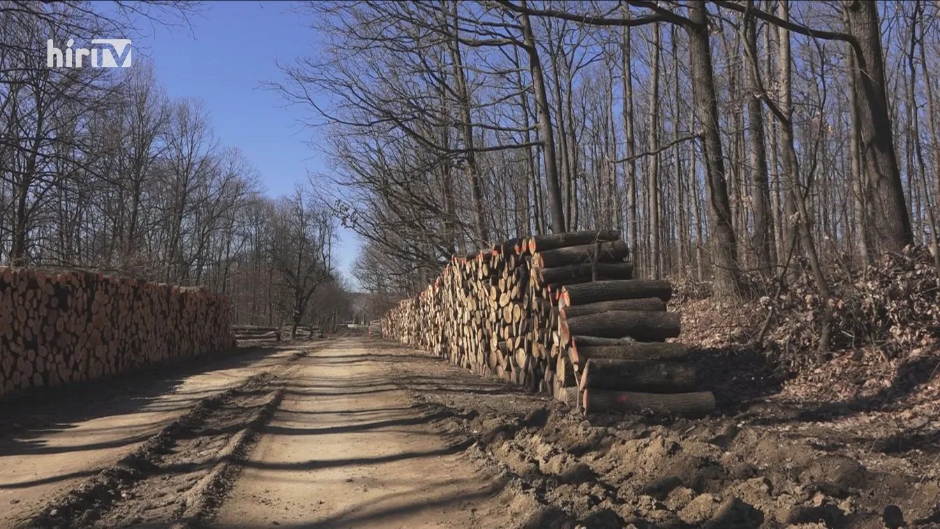Hamarosan véget ér a Szociális Tűzifa Program