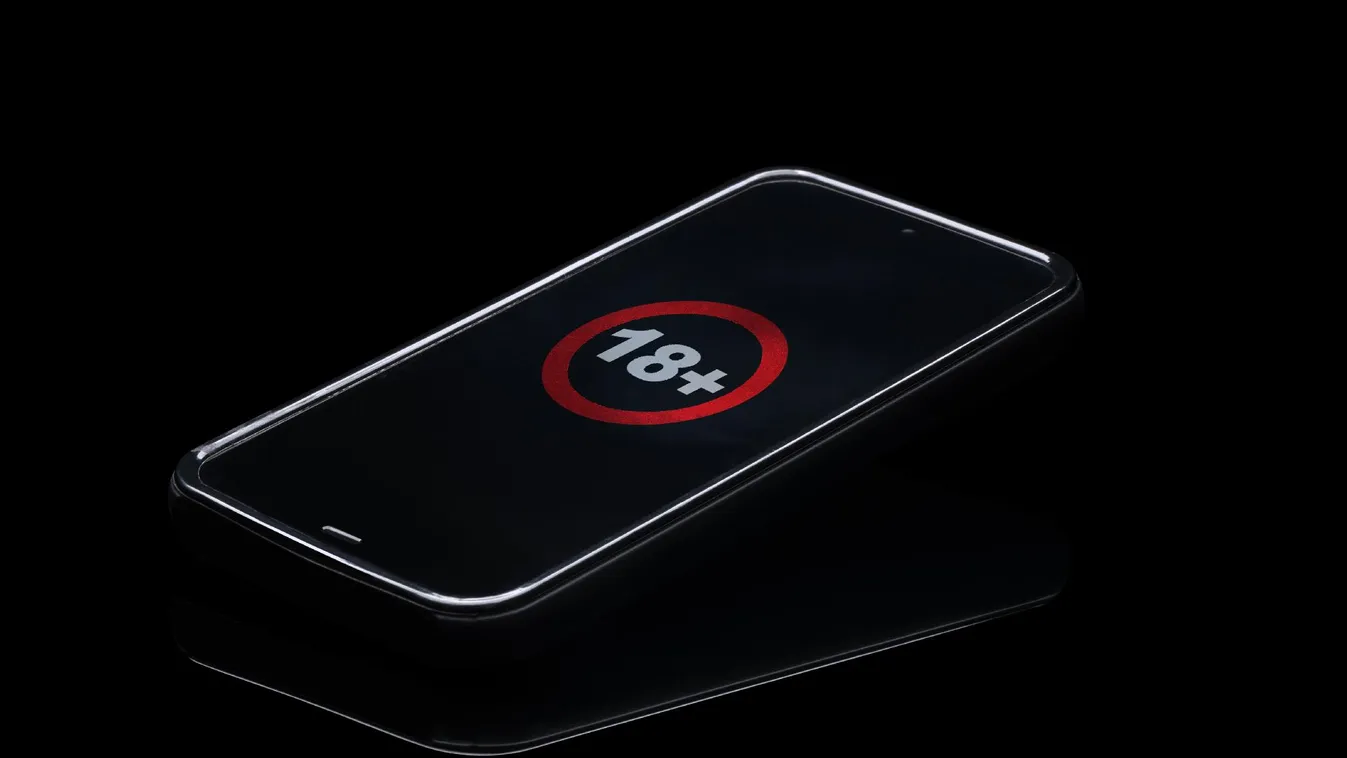 Pornót nézett a parlamenti ülésen egy szocialista politikus