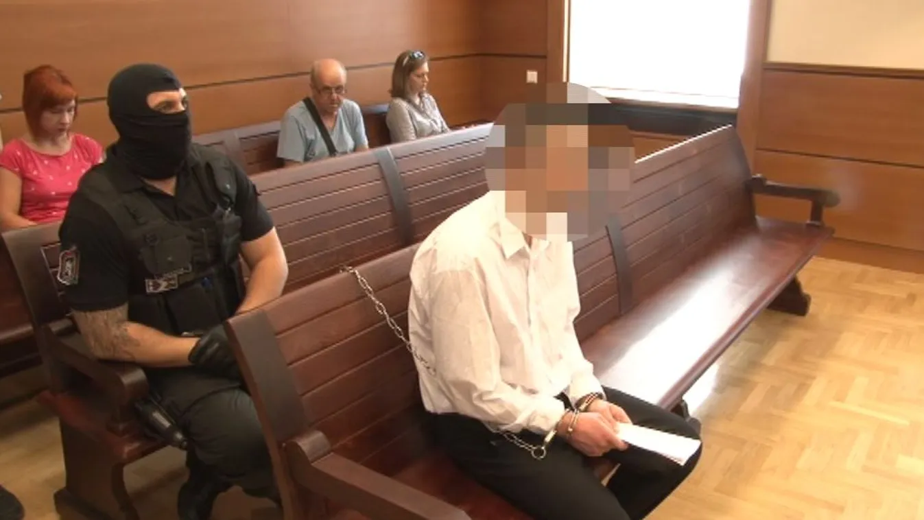 Hét évet kapott a csecsemőjét halálra rázó férfi