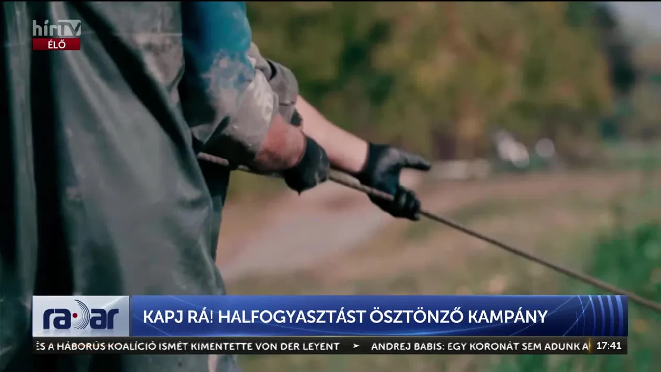 Radar – Kapj rá! – Halfogyasztást ösztönző kampány