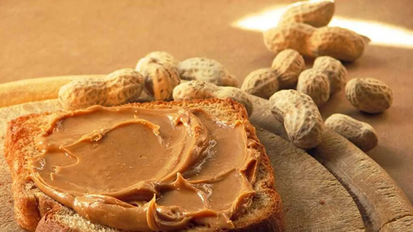 Mogyorókrémek – Panaszkönyv