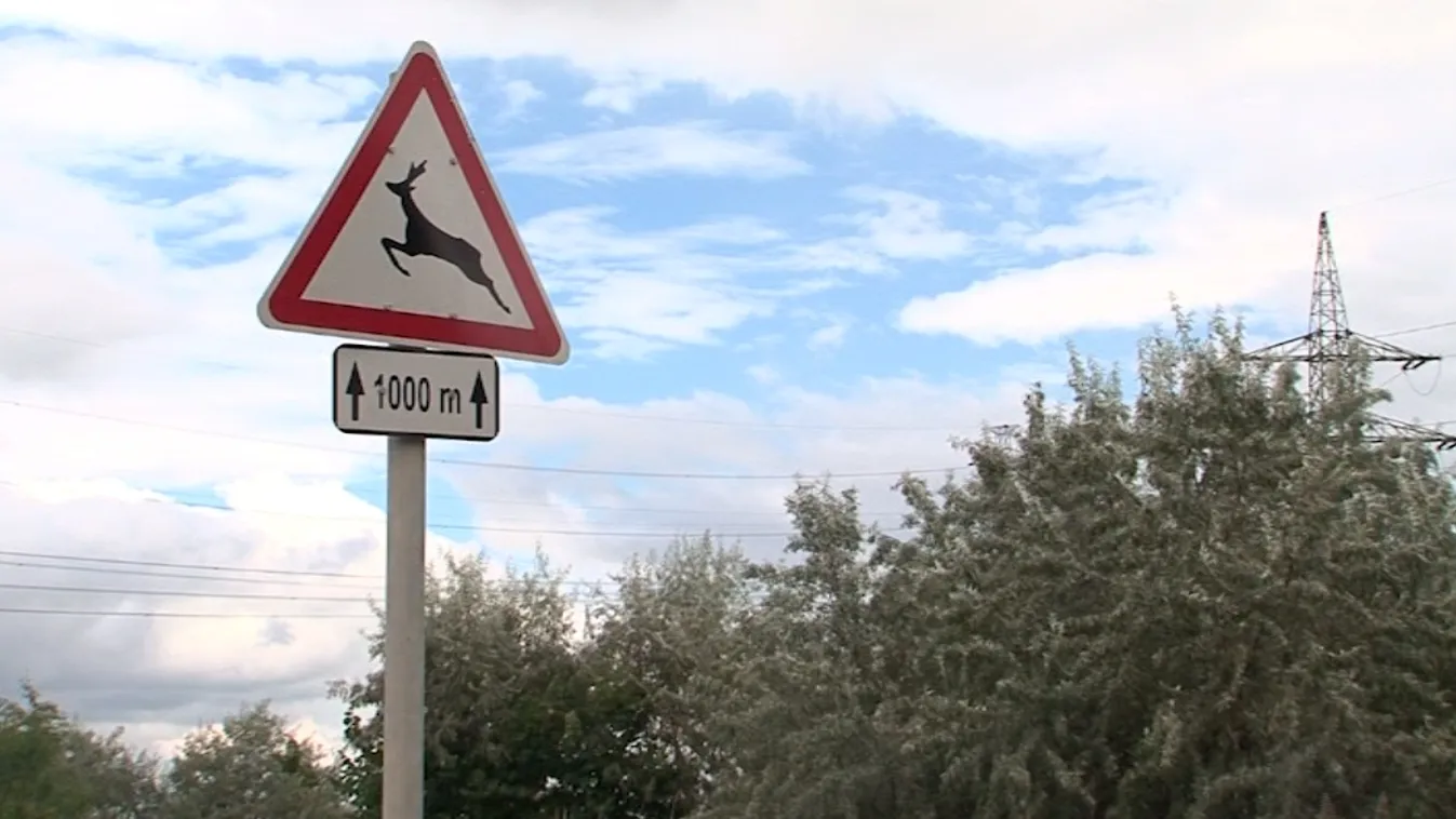 Vadriasztó sípot ajánlanak a rendőrök