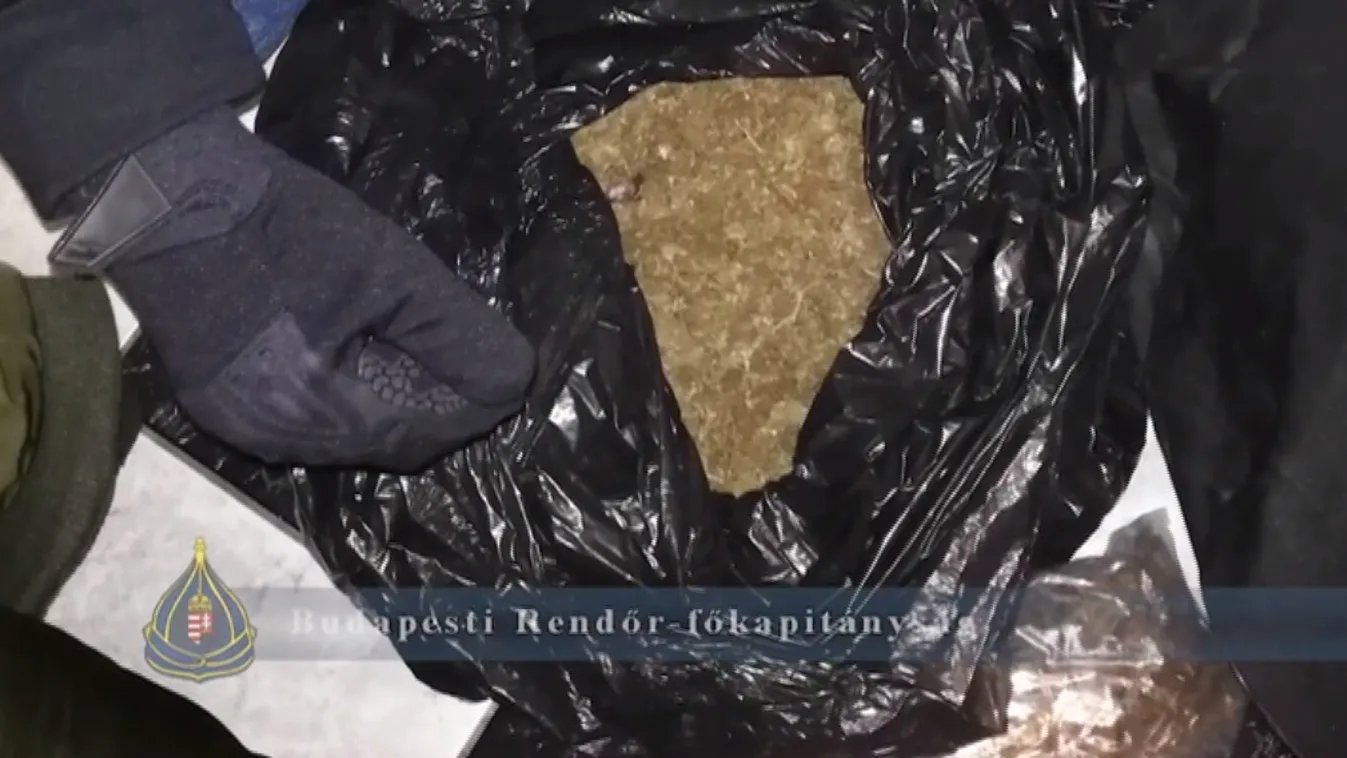 21 kiló marihuánát szagolt ki a kutya