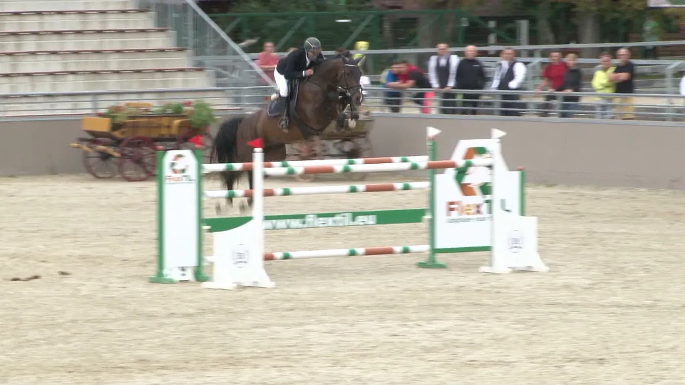 Radar - Címvédő magyar bajnok