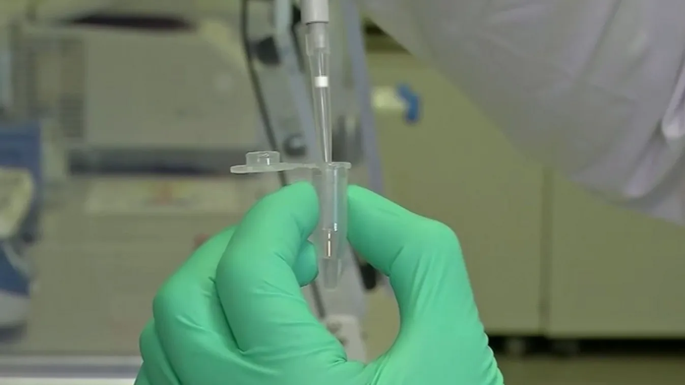 Hónapok óta nem csökken a Hepatitis A fertőzések száma Drégelypalánkon + videó