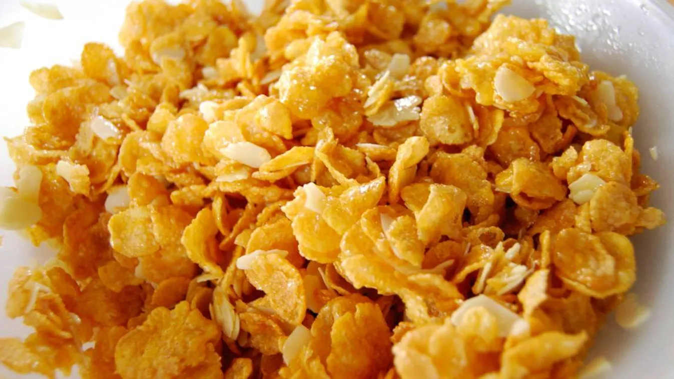 Útközben – Panaszkönyv