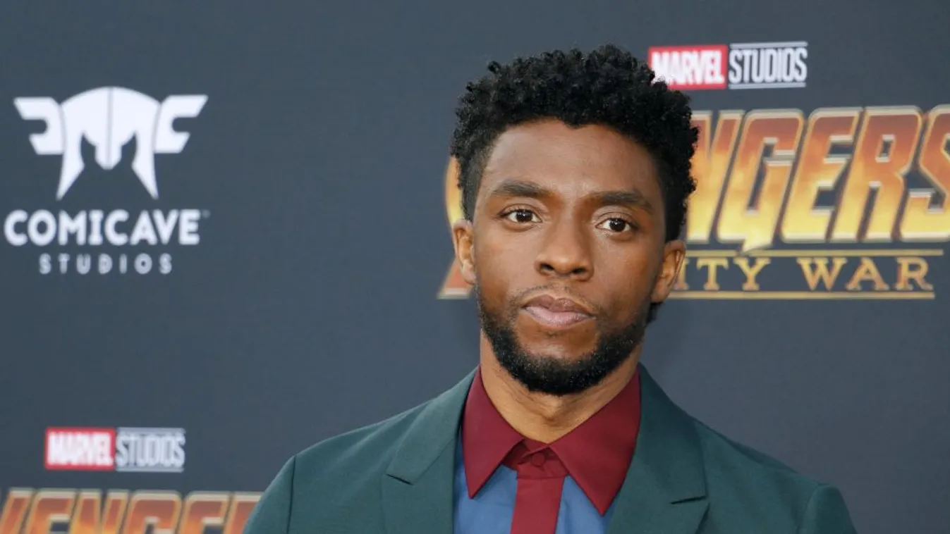 Elhunyt Chadwick Boseman