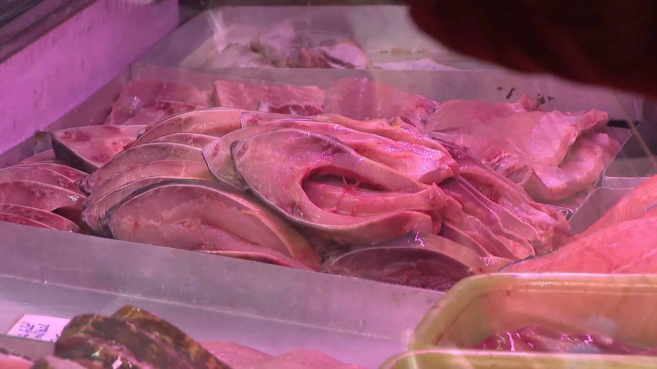 Terítéken a hal + videó