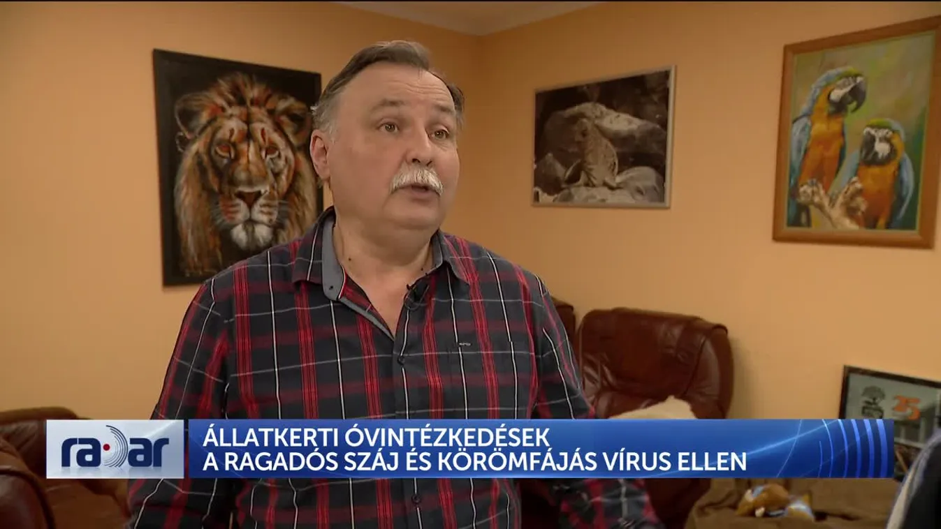 Radar - Állatkerti óvintézkedések a ragadós száj és körömfájás vírus ellen + videó