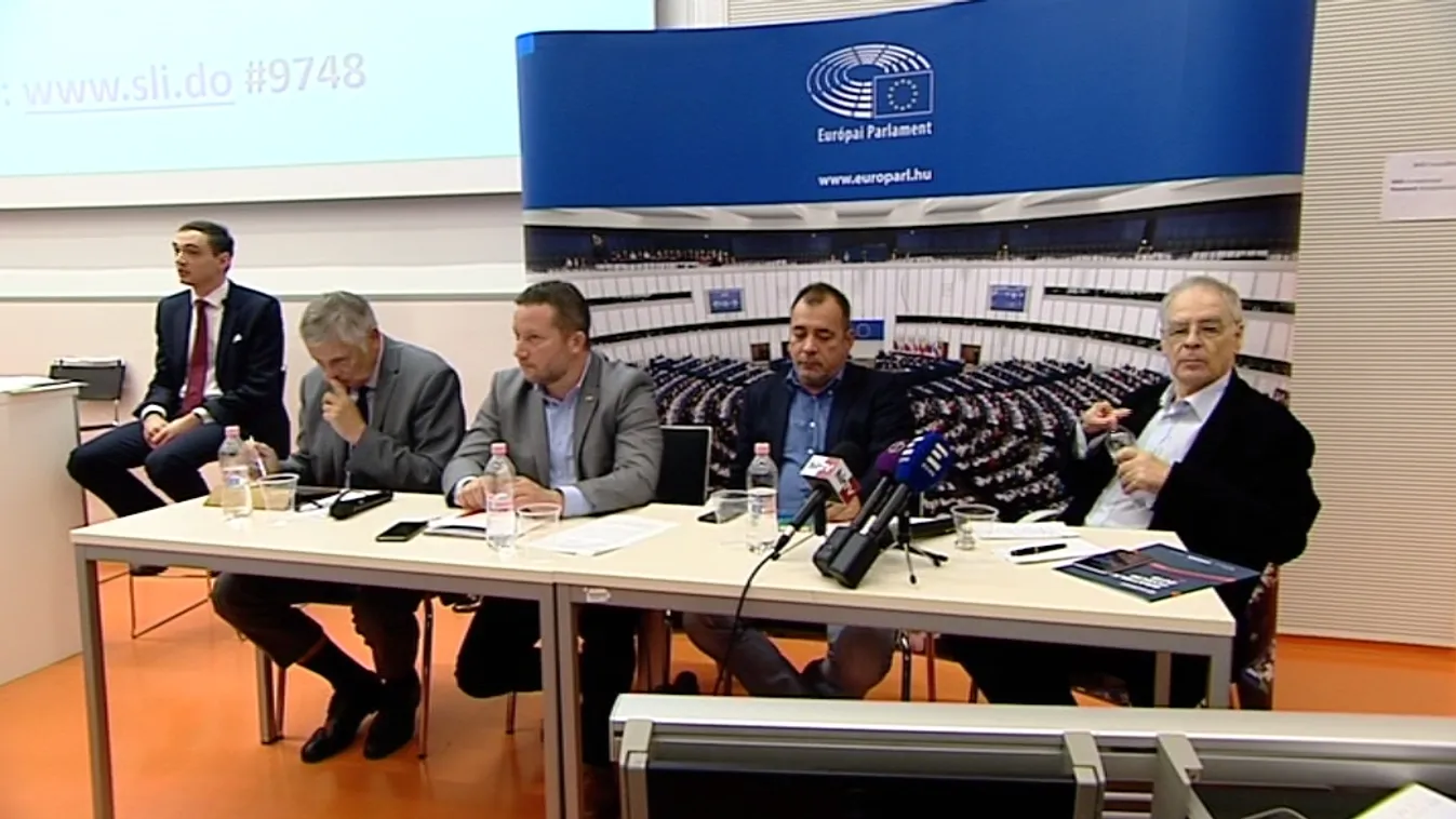 A magyar EP-képviselők egyetlen dologban értenek egyet