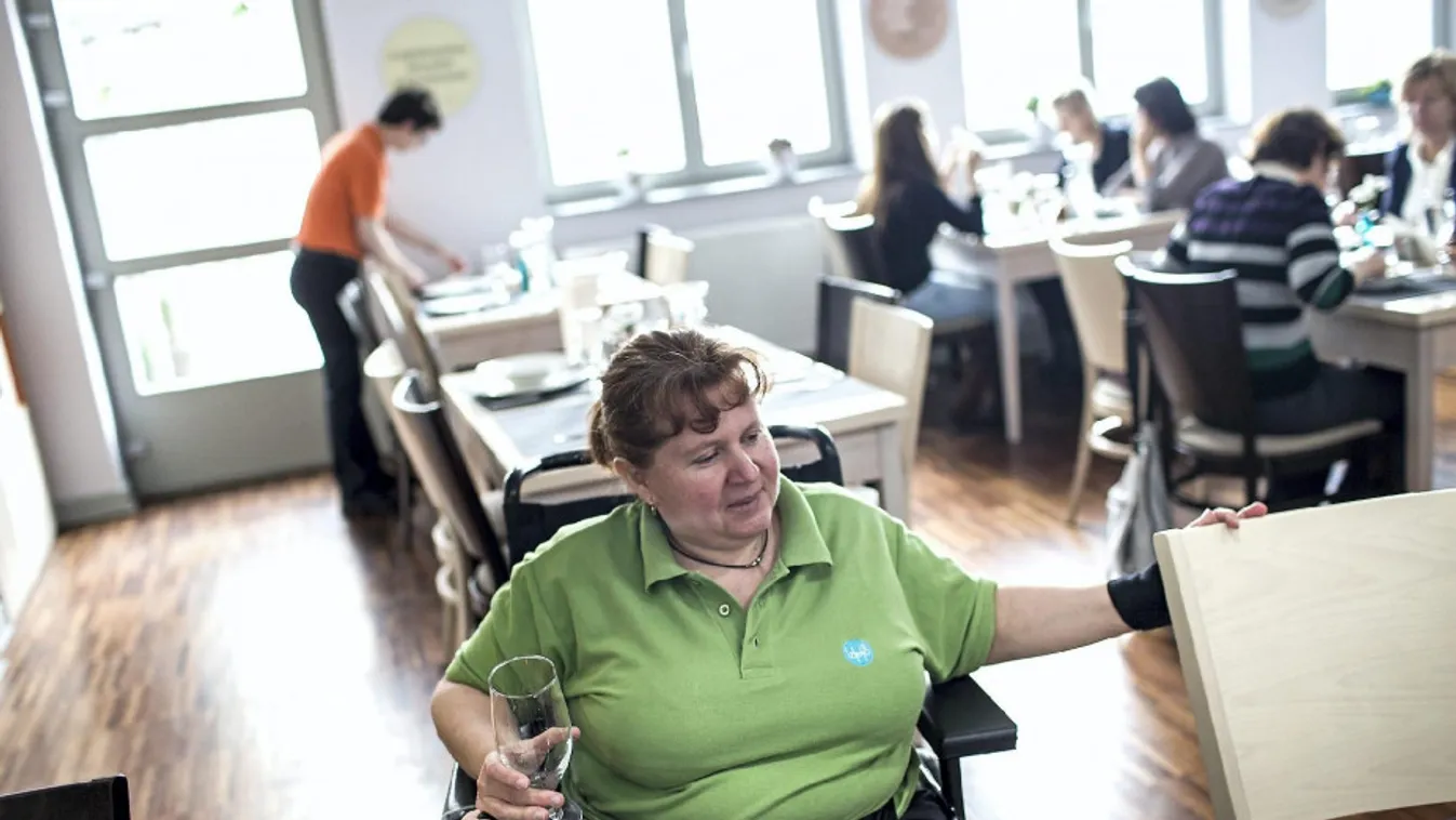 Sokan dolgozhatnak a rehabilitációs kártyának köszönhetően